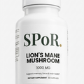 Lion's Mane Mushroom